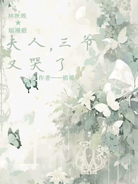 夫人,三爷又哭了 封面