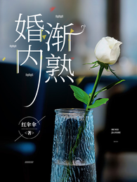 婚内渐熟 封面
