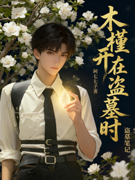 盗墓笔记:木槿开在盗墓时 封面