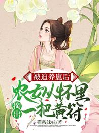 被迫养崽后,农女从怀里掏出一把黄符 封面