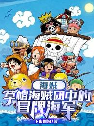 海贼：草帽海贼团中的冒牌海军 封面
