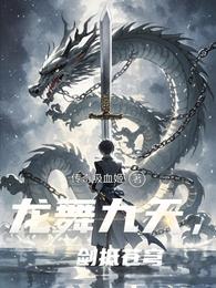 龙舞九天，剑抵苍穹 封面