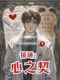 镜域:心之契 封面