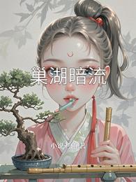 巢湖暗流 封面