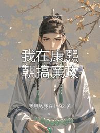 我在康熙朝搞廉政 封面