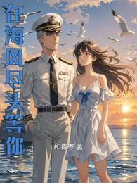 在海风尽头等你 封面