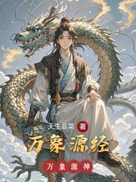 万象源经 封面