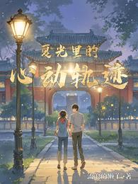 夏光里的心动轨迹 封面