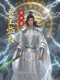 玄主临天 封面