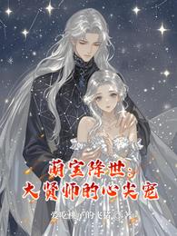 萌宝降世:大贤师的心尖宠 封面