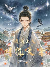 我与上天对抗天条 封面