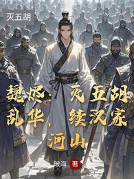 魏烬：灭五胡乱华，续汉家河山 封面