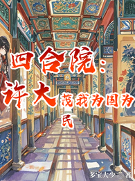 四个院：许大茂我为国为民 封面