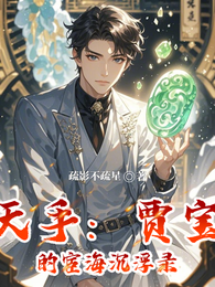 补天手:贾宝玉的宦海沉浮录 封面