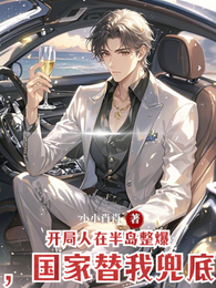 开局人在半岛整爆,国家替我兜底 封面