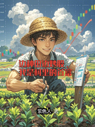 边种田边炒股，我是村里的首富 封面