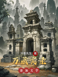 万藏实录 封面