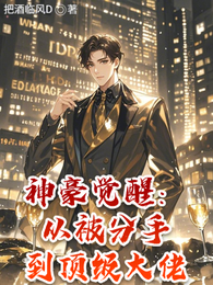 神豪觉醒:从被分手到顶级大佬 封面