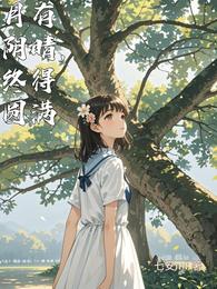 月有阴晴，终得圆满 封面
