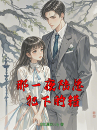 那一夜陆总犯下的错 封面
