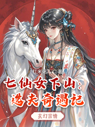 七仙女下山:选夫奇遇记 封面