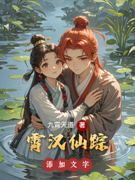 霄汉仙踪 封面