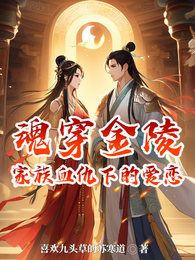 魂穿金陵:家族血仇下的爱恋 封面