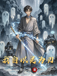 我自以灵为刃 封面