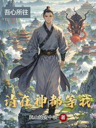 请在神都等我 封面