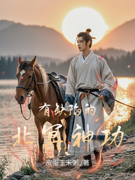 有缺陷的北冥神功 封面