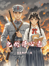 九州丹心录 封面
