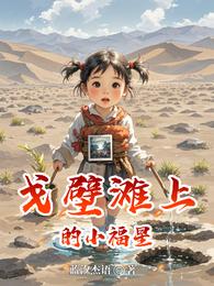 戈壁滩上的小福星 封面