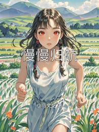 慢慢归航 封面