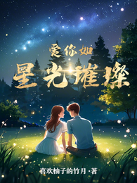 爱你如星光璀璨 封面