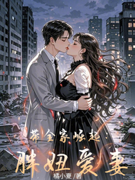 胖妞爱妻:带全家崛起 封面