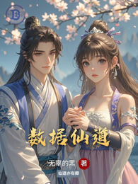 数据仙道 封面