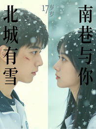 北城有雪，南巷与你 封面