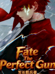 Fate完美之枪 封面