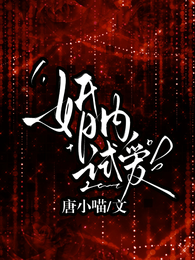婚内试爱 封面