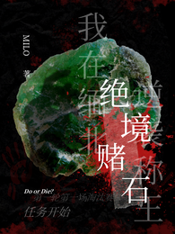 绝境赌石：我在缅北逆袭称王 封面