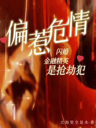 偏惹危情:闪婚金融精英是抢劫犯 封面