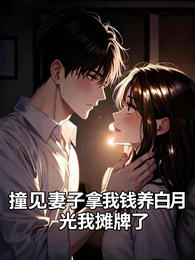 撞见妻子拿我钱养白月光我摊牌了 封面