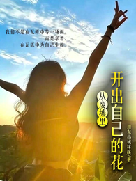 林溪的向上生长之路 封面