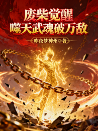 废柴觉醒噬天武魂破万敌 封面