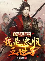 穿越红楼之我是忠顺王世子 封面