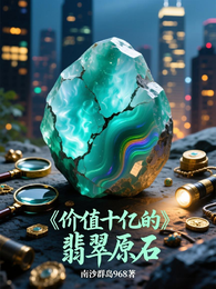 价值十亿的翡翠原石 封面