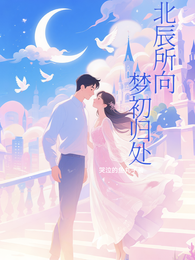 北辰所向梦初归处 封面