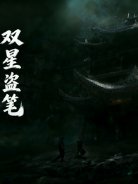 双星盗笔 封面