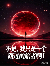 我只是一个路过的旅者啊！ 封面