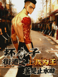 坏小子:街道之上,我为王 封面